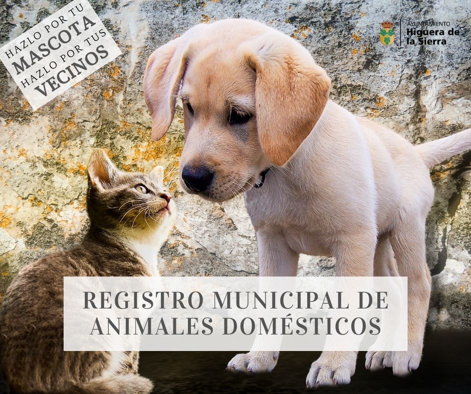 Registro Municipal de Animales Domésticos